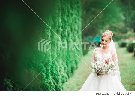 Beauty portrait of bride wearing fashion wedding dress with feathers with luxury delight make-up and hairstyle 74202737
