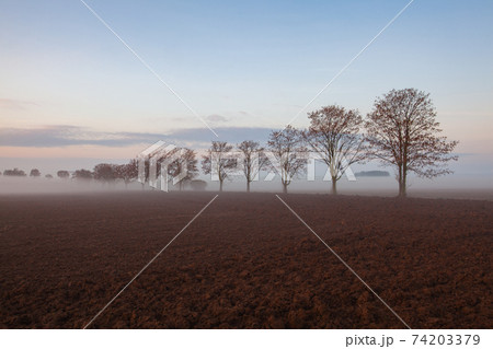 Landscape covered with fog in Central Bohemian Uplands, Czech Republic. Landscape covered with fog in Central Bohemian Uplands, Czech Republic. 74203379