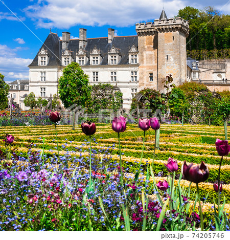 Amazing castles of Loire valley with beautiful gardens, France Amazing castles of Loire valley with beautiful gardens, France 74205746