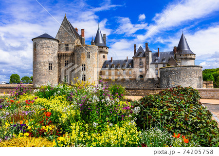 Beautiful medieval castle Sully-sul-Loire. famous Loire valley river in France 74205758