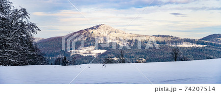Freezy and snowy wintertime landscape 74207514