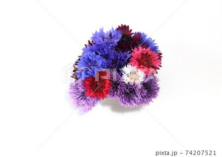 ヤグルマギクの花束 74207521