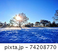 映画のような世界観が美しいドイツの雪景色 74208770