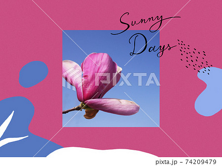 春 表紙 マグノリア 74209479