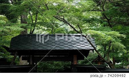 秋田県 角館武家屋敷 新緑 74209492