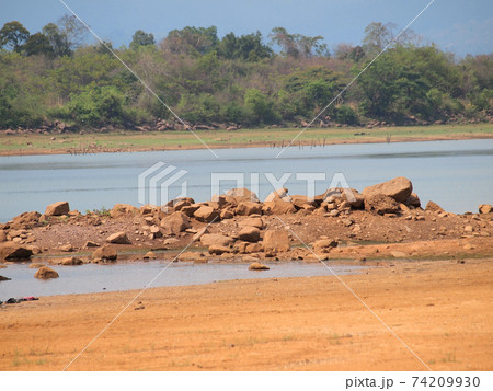dry lands puddle dry lands puddle 74209930