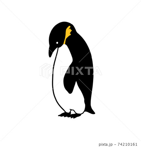 親子ペンギンのかわいいイラストのイラスト素材