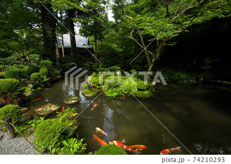 京都　三千院有清園庭園 74210293