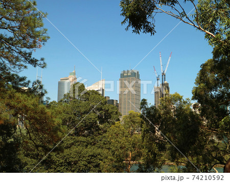 王立植物園から望む高層ビル群 王立植物園から望む高層ビル群 74210592