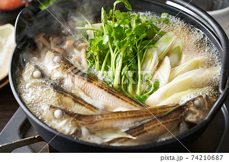 秋田名物しょっつる鍋 秋田名物しょっつる鍋 74210687