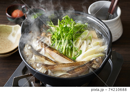 秋田名物しょっつる鍋 74210688