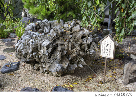沼津市原の松蔭寺のさざれ石 74210770