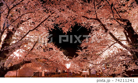 【青森】弘前公園の空に浮かぶ桜のハートマーク 【青森】弘前公園の空に浮かぶ桜のハートマーク 74211241