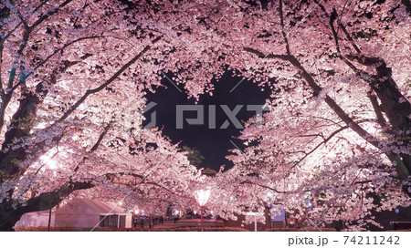 【青森】弘前公園の空に浮かぶ桜のハートマーク 【青森】弘前公園の空に浮かぶ桜のハートマーク 74211242