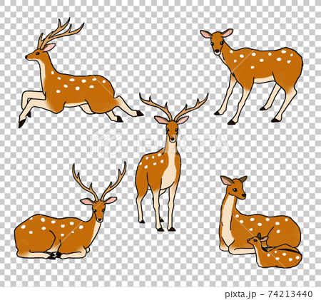 鹿のイラストのイラスト素材
