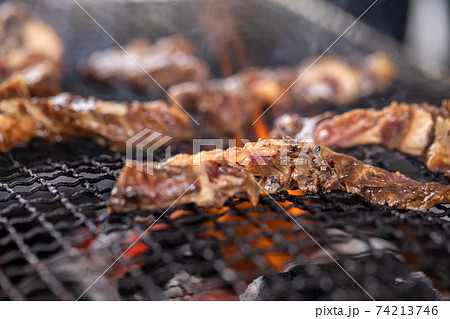 バーベキューでお肉を焼いているシーン バーベキューでお肉を焼いているシーン 74213746