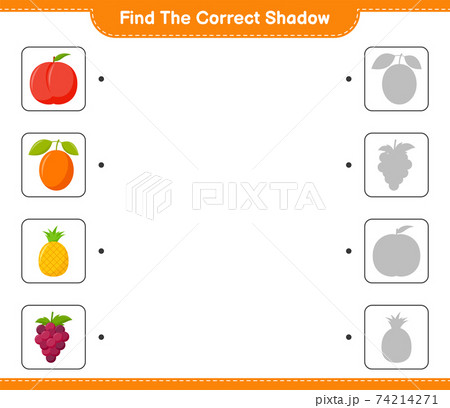 ind the correct shadow. Find and match the correct shadow of Fruits. Educational children game, printable worksheet, vector illustration 74214271