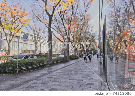 <東京都>東京風景 表参道 <東京都>東京風景 表参道 74215086