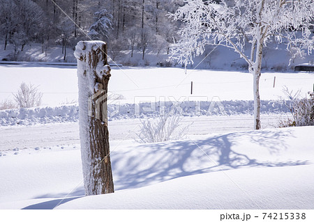 冬の山での景色青空と 樹氷 霧氷をした綺麗な木の写真素材