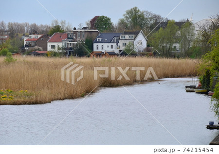 オランダ田舎の風景 74215454