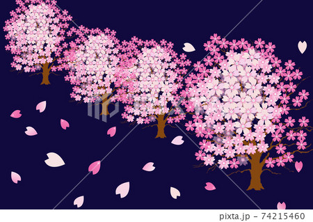 夜桜のイラスト素材