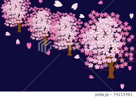 夜桜のイラスト素材