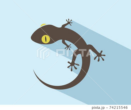 Gecko logo vector icon illustration Gecko logo vector icon illustration 74215546