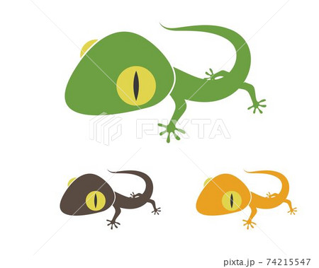 Gecko logo vector icon illustration Gecko logo vector icon illustration 74215547