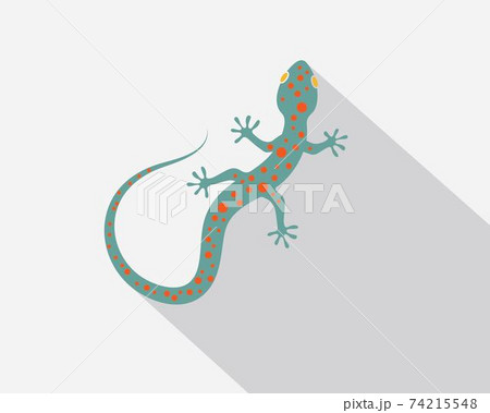 Gecko logo vector icon illustration Gecko logo vector icon illustration 74215548