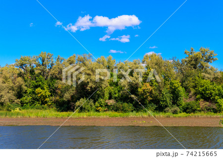 Summer landscape with beautiful river, green trees and blue sky Summer landscape with beautiful river, green trees and blue sky 74215665
