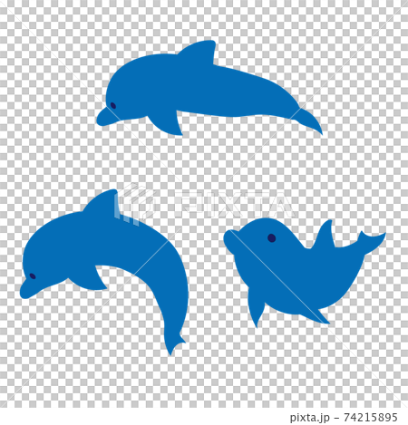 ジャンプ 泳ぐイルカ Www Marquisa Com Pe