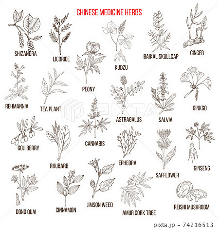 Chinese medicinal herbs 74216513