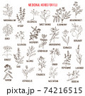 Best medicinal herbs for flu 74216515