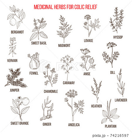 Best herbal remedies for colic relief Best herbal remedies for colic relief 74216597