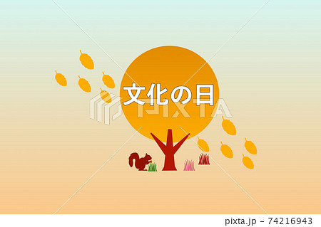 11月 11月 74216943