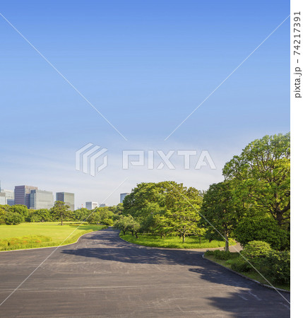 皇居  江戸城 天守台 本丸 本丸大芝生 皇居  江戸城 天守台 本丸 本丸大芝生 74217391