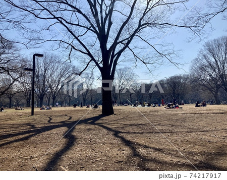 休日の公園 休日の公園 74217917