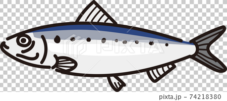 簡単な魚のイワシのイラストのイラスト素材