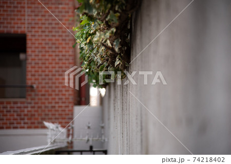 街の片隅の風景 74218402