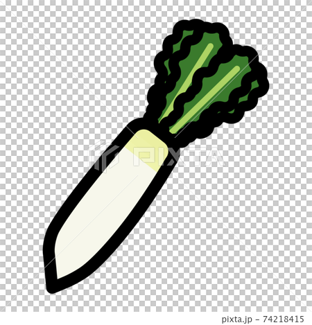 Illustration of vegetable radish 74218415