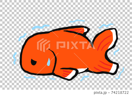 病気で弱っている金魚のイラストのイラスト素材