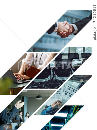 ビジネス グラフィック ビジネス グラフィック 74219611