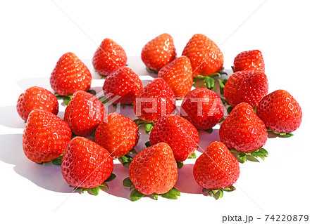 いちご（恋のぞみ/品種名は「恋みのり」） 74220879