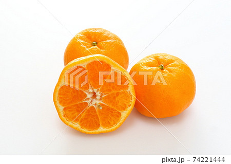 ポンカン ポンカン 74221444