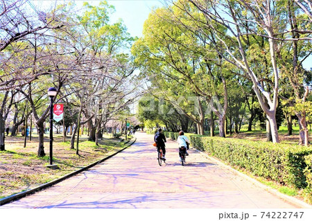 長居公園　春の風景 74222747