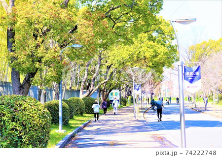 長居公園 春の風景 長居公園 春の風景 74222748
