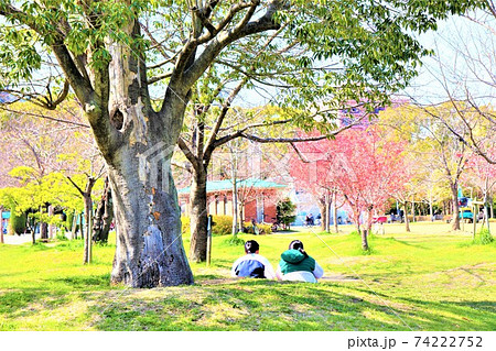 長居公園　春の風景 74222752