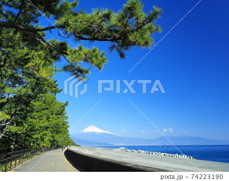静岡県　三保の松原の風景　冬 74223190