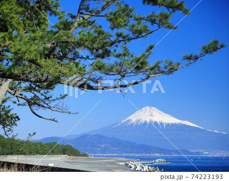 静岡県 三保の松原の風景 冬 静岡県 三保の松原の風景 冬 74223193