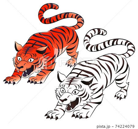 白いトラと赤いトラ 白いトラと赤いトラ 74224079